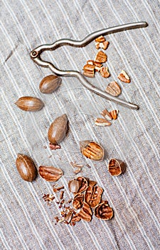 Pecan nuts