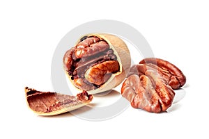 Pecan nuts on white