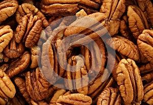 Pecan nuts close up full frame