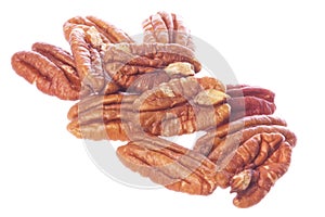 Pecan Nuts Isolated