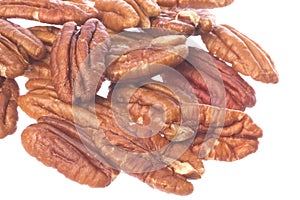 Pecan Nuts Isolated