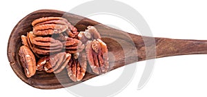 Pecan Nuts isolated on white