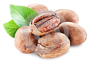 Pecan nuts isolated on a white.