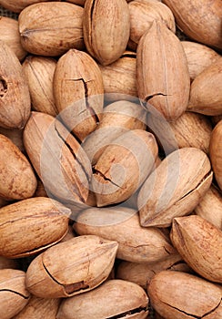 Pecan nuts in and out of shells