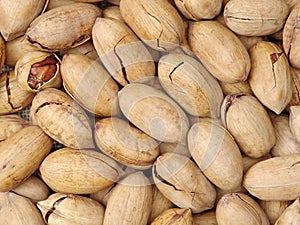 Pecan nuts in and out of shells