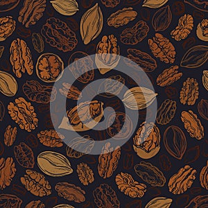 Pecan nuts seamless pattern. Vector illustration