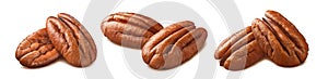 Pecan nuts set isolated on white background