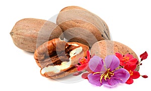 Pecan nuts and leaves.