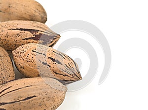 Pecan nuts on white background.