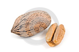 Pecan nuts on white background