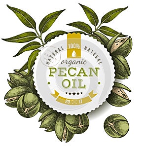 Pecan oil label over hand drawn nuts