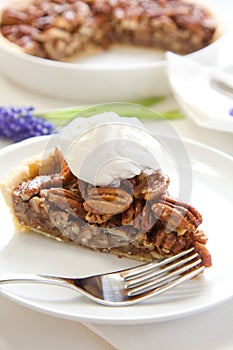 Pecan Pie Slice