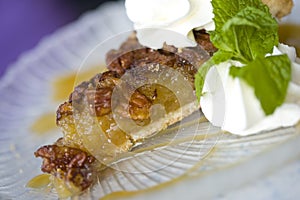 Pecan Pie Slice