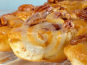 Pecan Sticky Buns