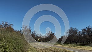 Pecan tree orchard and country rural road in Georgia in the Fall