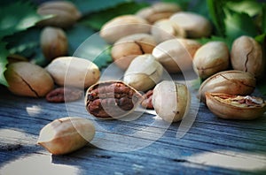 Pecan walnuts