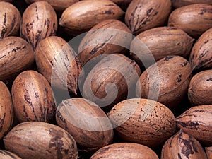 Pecans