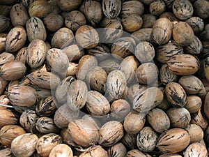 Pecans