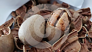 Pecans on cracked shells, healthy snack!