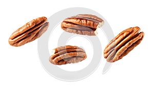 Pecans flying mid-air, isolate on white background. Collection