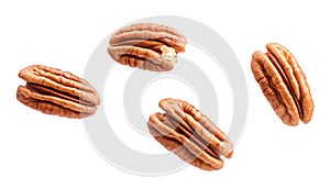 Pecans flying mid-air, isolate on white background. Collection