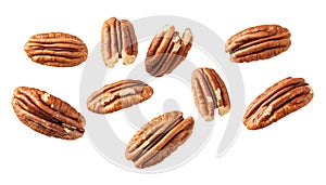 Pecans flying mid-air, isolate on white background. Collection