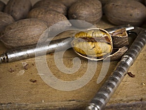 Pecans and nut cracker