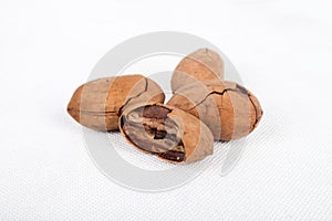 Pecans nuts on white background.