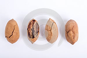 Pecans nuts on white background.