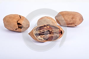 Pecans nuts on white background.