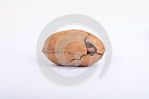 Pecans nuts on white background.