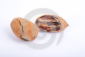 Pecans nuts on white background.