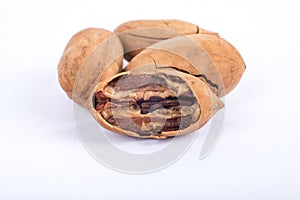 Pecans nuts on white background.