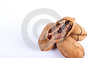 Pecans nuts on white background.