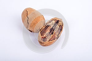 Pecans nuts on white background.