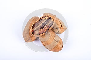 Pecans nuts on white background.