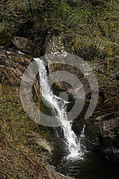 Pecca Falls, Ingleton, Yorkshire, England