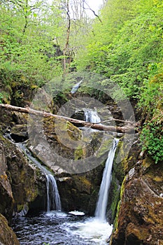 Pecca  Twin Falls, Ingleton Waterfall Trail, Yorkshire, UK