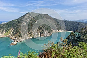 For the pechon tip in Pesues