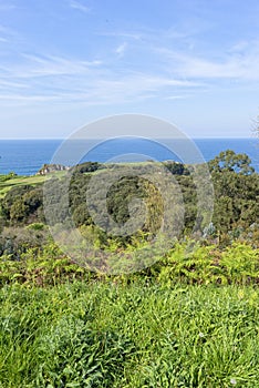 For the pechon tip in Pesues