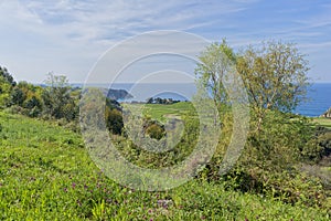 For the pechon tip in Pesues