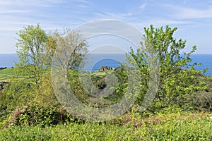 For the pechon tip in Pesues