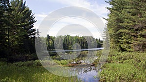 Peck Lake, Algonquin Provincial Park 5