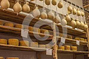 Pecorino caciocavallo ricotta e scamorza cheese storage