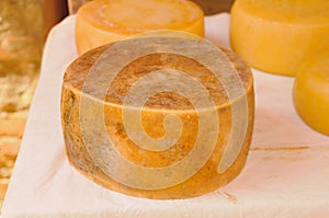 Pecorino Cheese