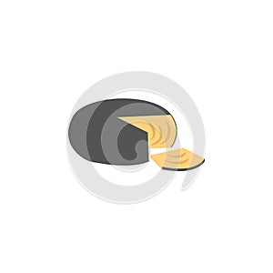 pecorino cheese colored icon. Signs and symbols can be used for web, logo, mobile app, UI, UX