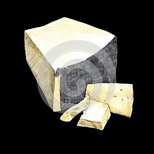 Pecorino cheese watercolor illustration on black background