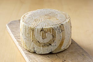 Pecorino cheese on wooden table