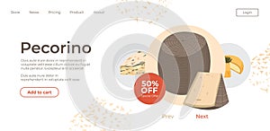 Pecorino Italian cheese on sale in online store