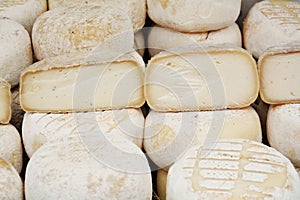 Pecorino Italian cheese